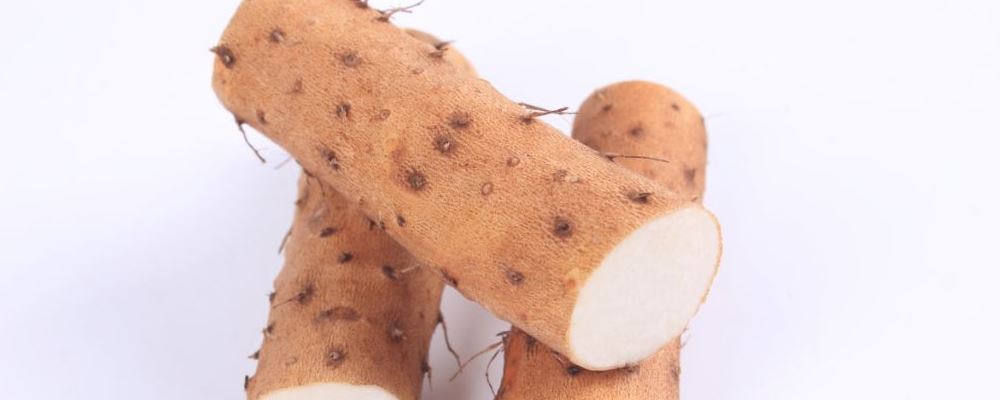 溫和補(bǔ)腎壯陽的食物有哪些 這12種管用