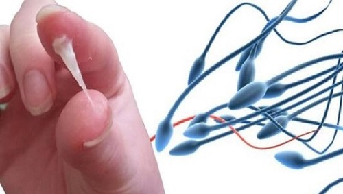 精子會在體內存活多久 如何增加懷孕的幾率