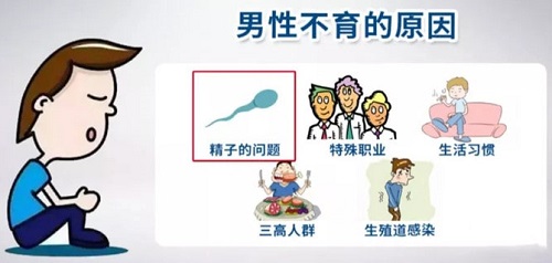 男性為什么會(huì)不孕不育 本文盤(pán)點(diǎn)男性不孕不育的原因