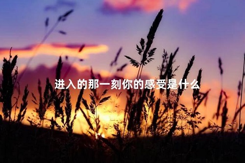 被進(jìn)入的那一瞬間是什么感覺(jué) 本文盤(pán)點(diǎn)性愛(ài)被進(jìn)入那一刻的感受