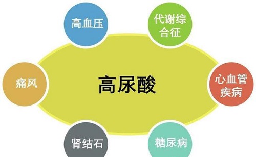 尿酸高是什么引起的原因 尿酸高應(yīng)該怎么預(yù)防