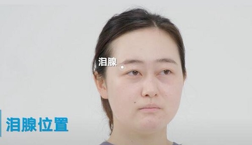 掐哪里會瞬間哭出來 刺激哪些穴位可以哭出來
