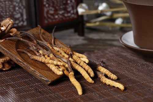 蟲草可以連續吃嗎 吃蟲草忌什么
