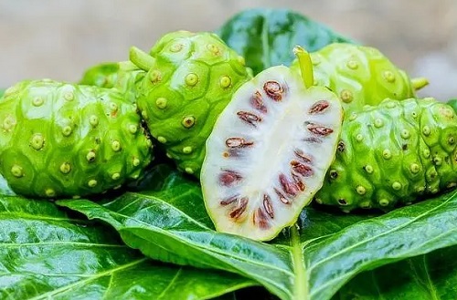 諾麗果能不能提高性功能 諾麗果該怎么食用