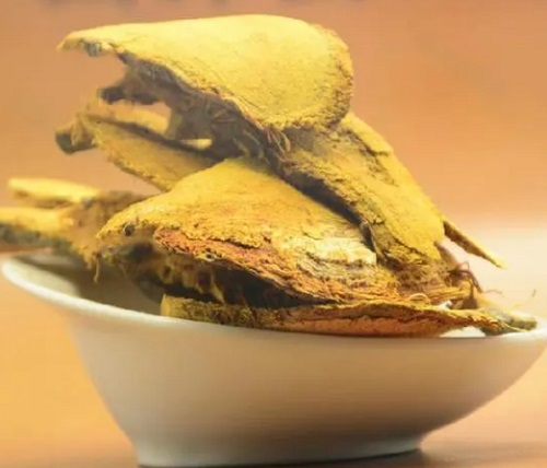 秋季補腎應(yīng)該吃什么 哪些食物的補腎效果最好