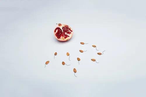 女生私處是不是都一個樣 女性私處有哪些形狀