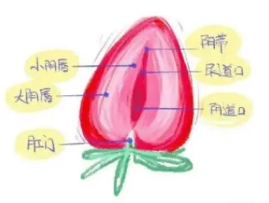 平躺的自我安慰方法是什么 女性自慰應該怎么做