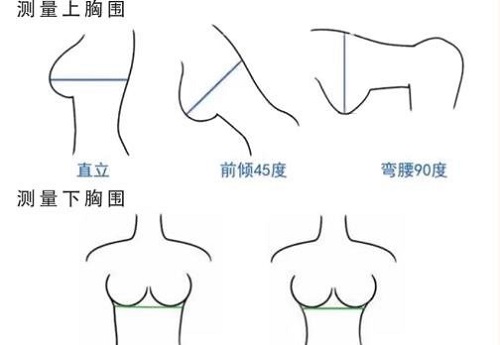 文胸尺碼選擇怎么做 女人怎么選擇合適的內衣尺碼