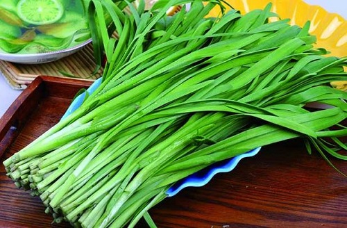 韭菜和什么不能一起吃 男人吃韭菜對性功能有幫助嗎
