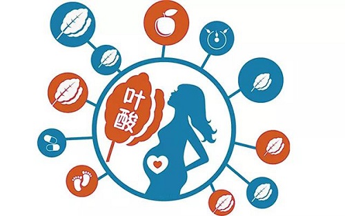 什么樣的食物含葉酸最多 葉酸片對男性性功能有好處嗎