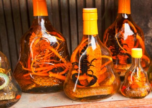 壯陽藥酒是什么 壯陽藥酒有哪些配方