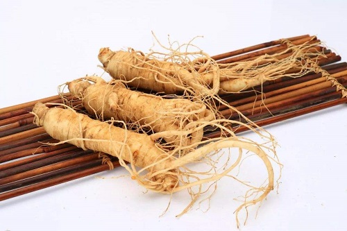 人參的功效與作用是什么 人參對肺部有好處嗎