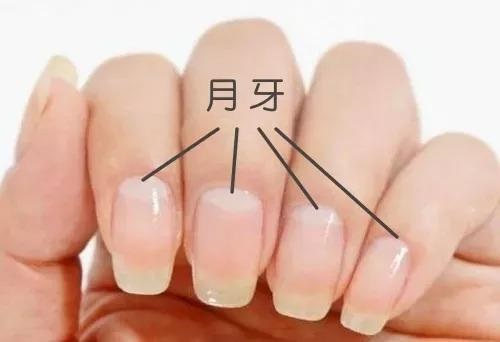 指甲上的月牙代表什么 手指甲月牙與健康有什么關系