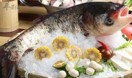 鰱魚的營養價值是什么 吃鰱魚存在什么禁忌