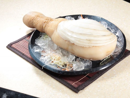 象拔蚌的營養(yǎng)價(jià)值是什么 食用象拔蚌有什么禁忌