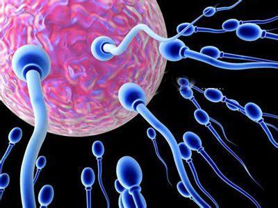 提高精子質(zhì)量的調(diào)理方法有哪些 如何提高精子質(zhì)量