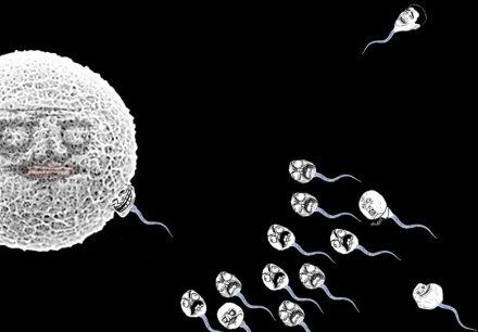 女人吃精子會產生朊病毒嗎 朊病毒是什么病毒