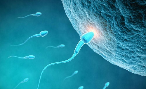 女人吃精子會產生朊病毒嗎 朊病毒傳播途徑是什么