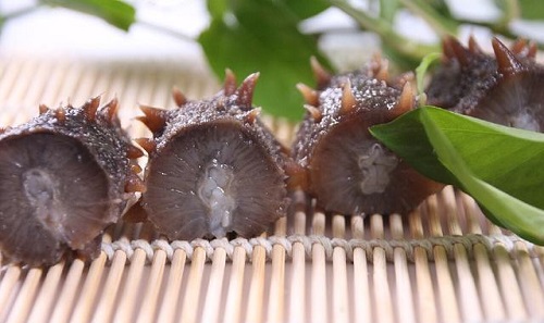 每天吃一個(gè)海參好嗎 吃海參對(duì)身體的好處有哪些