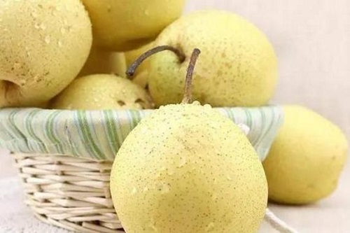 梨的功效與作用是什么 長(zhǎng)期吃梨對(duì)肺有好處嗎
